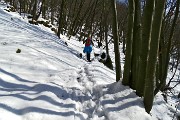 23 Bosco di prevalenti faggi